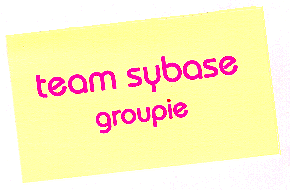 Team Sybase Groupie card